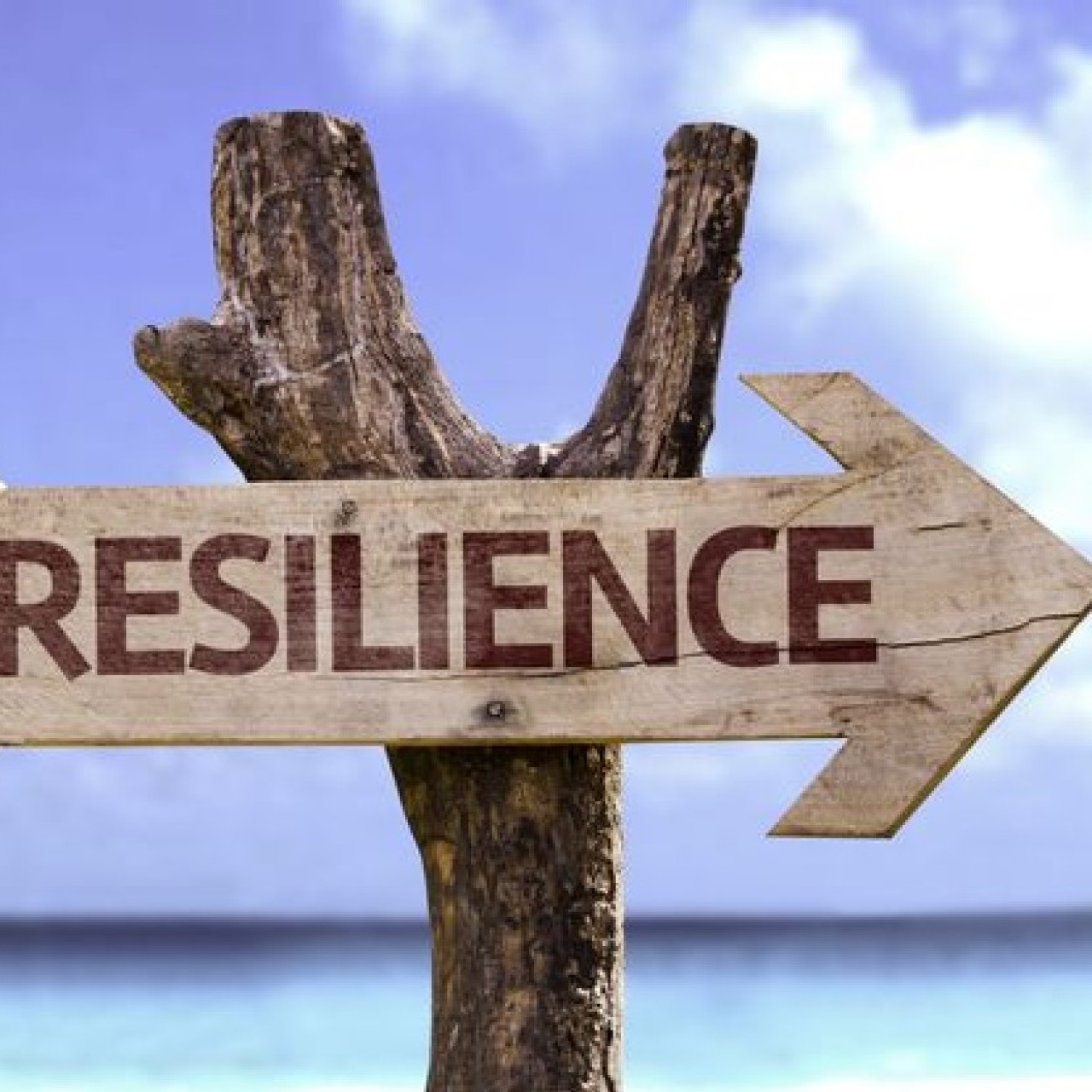 Headline image for page about How to create resilience in your children?