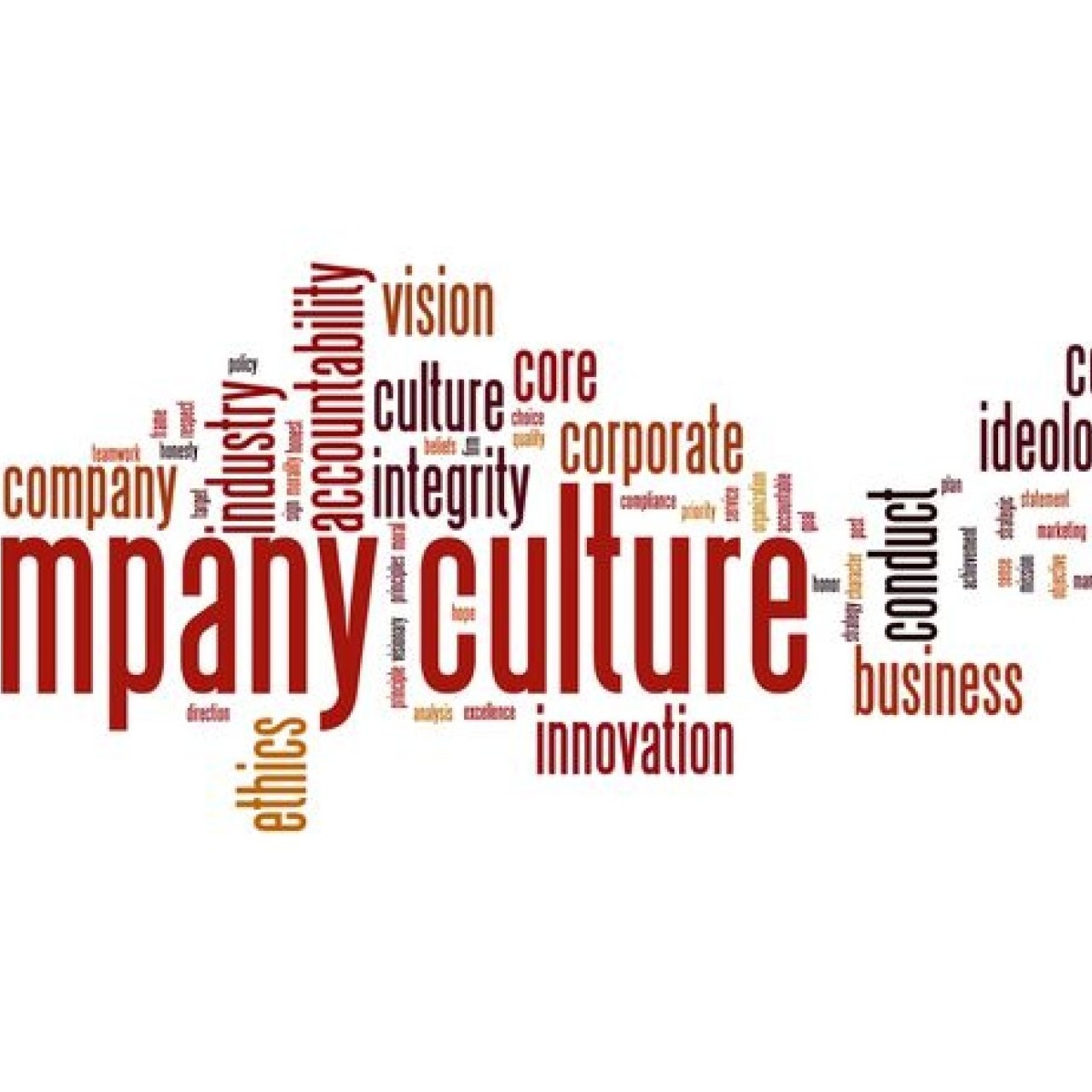 Headline image for page about 12 tips to improve culture in your organisation