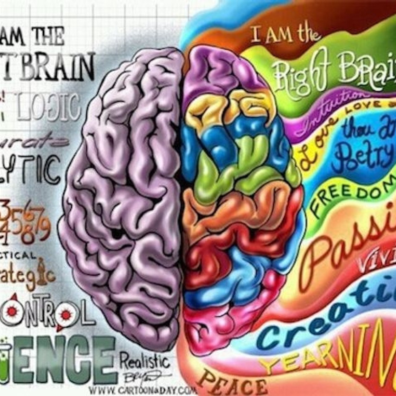 Headline image for page about Innovative thinking and strategic planning. Getting your brain to work!