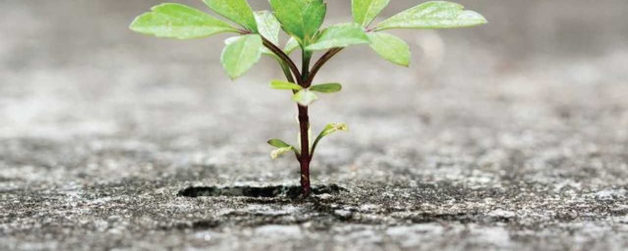 Headline image for page about How to become more resilient