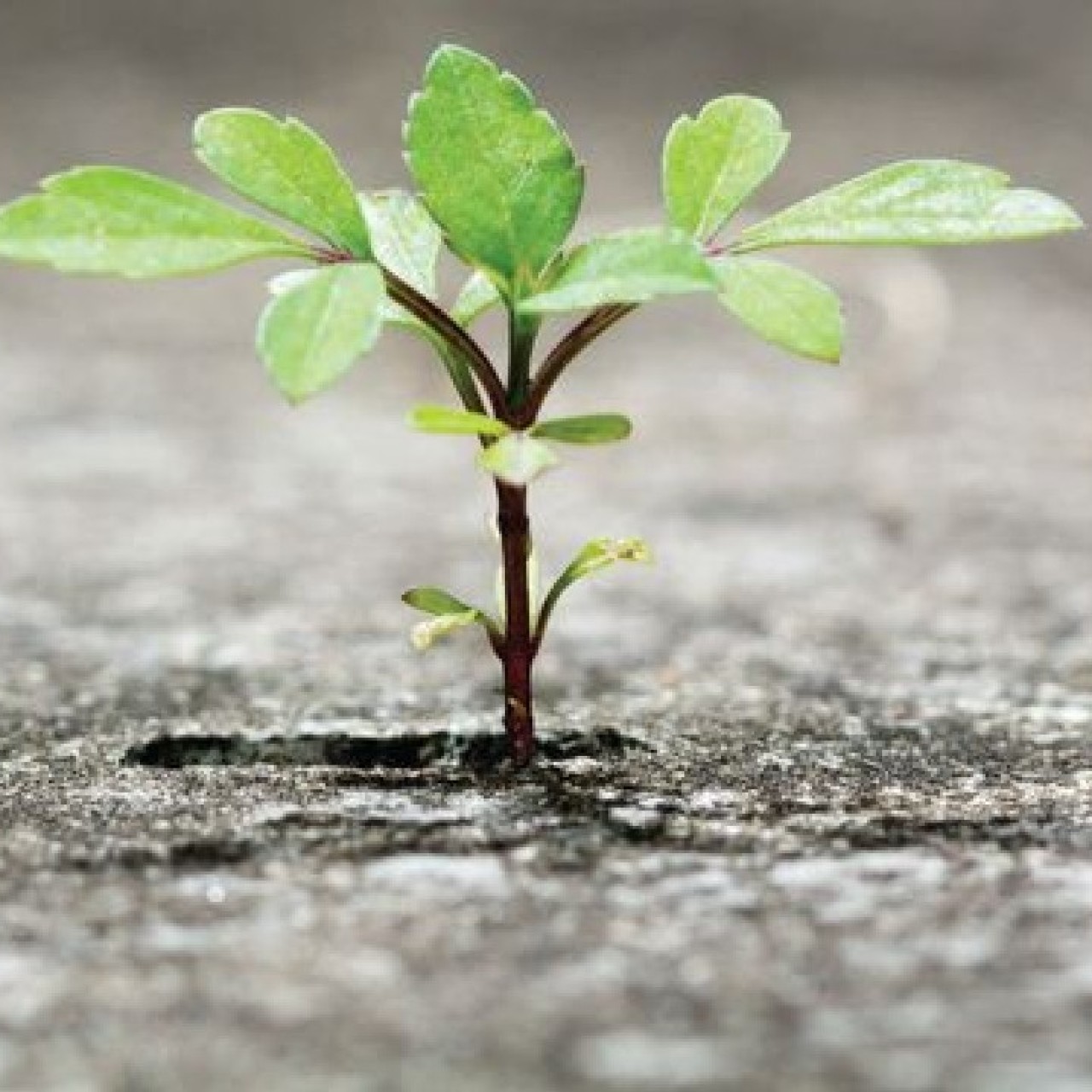 Headline image for page about How to become more resilient