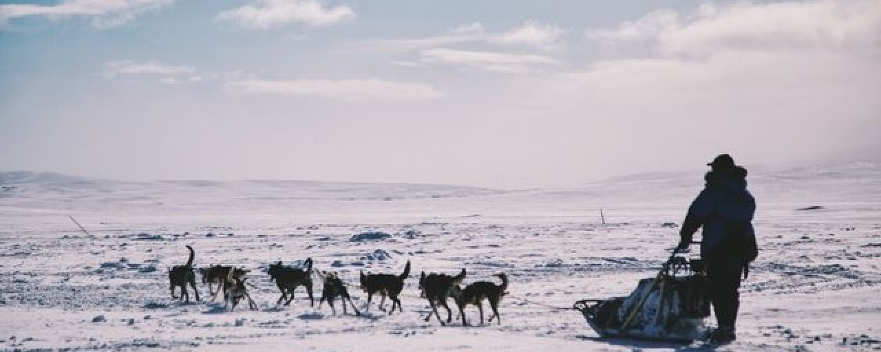 Headline image for page about Have you ever been to the Arctic? Experience something amazing