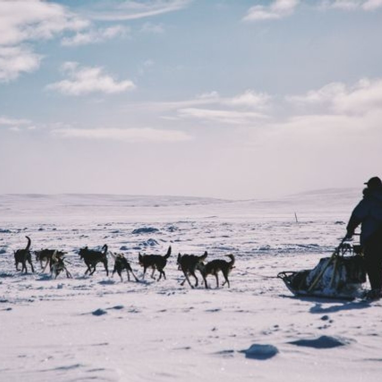 Headline image for page about Have you ever been to the Arctic? Experience something amazing