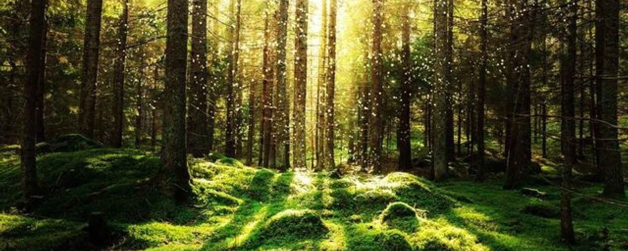 Headline image for page about The Health Benefits of Getting Outside