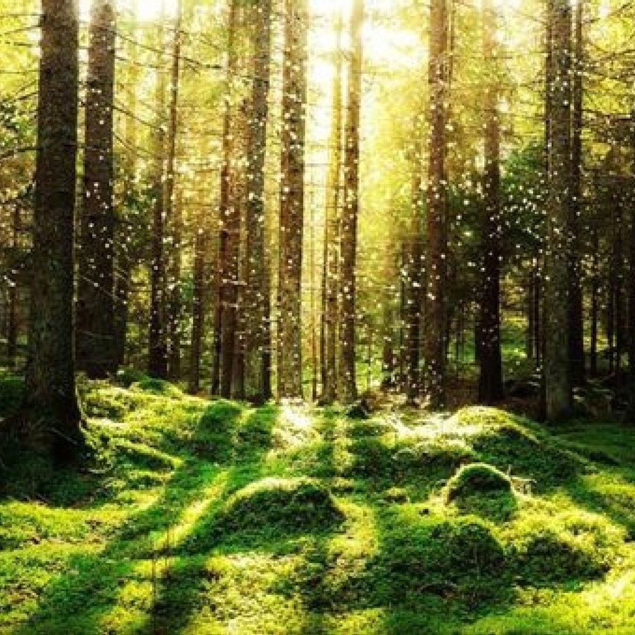Headline image for page about The Health Benefits of Getting Outside