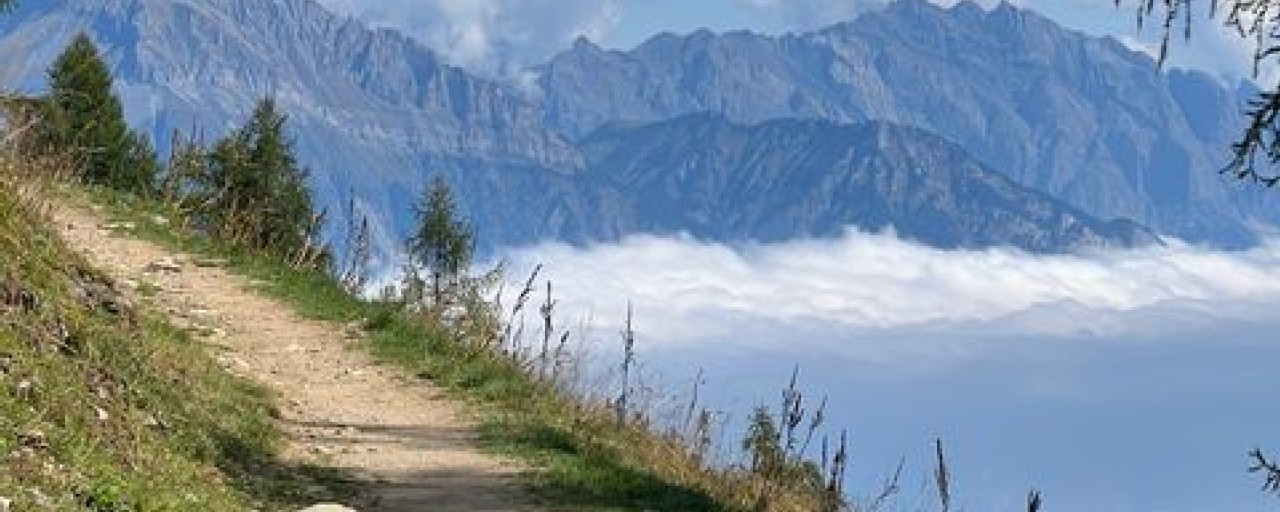 Headline image for page about Navigating the Corporate Wilderness: Lessons from Leading Through the Unknown