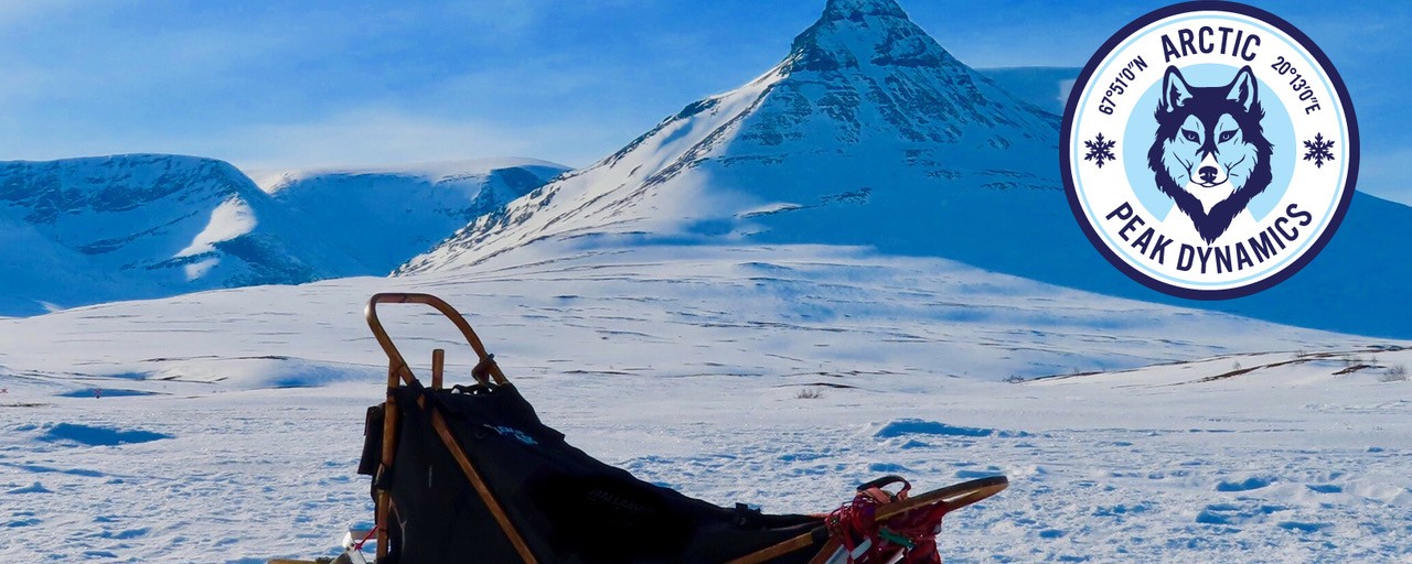 Headline image for page about Arctic Experience