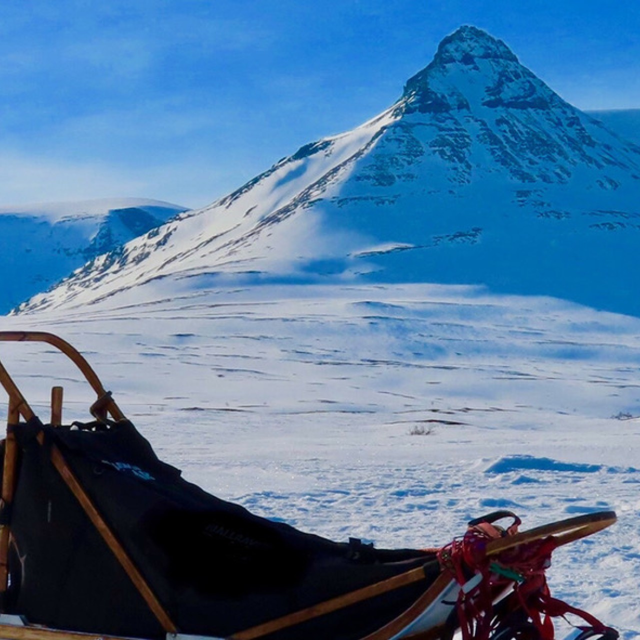 Headline image for page about Arctic Experience